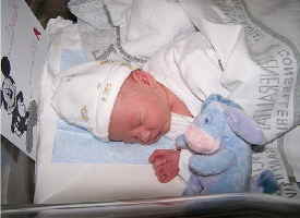 daniel 1st july 2008 daniel 1st july 2008